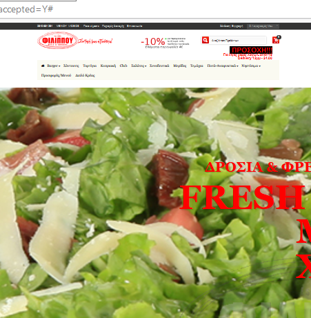 netdevelop εργο filipou