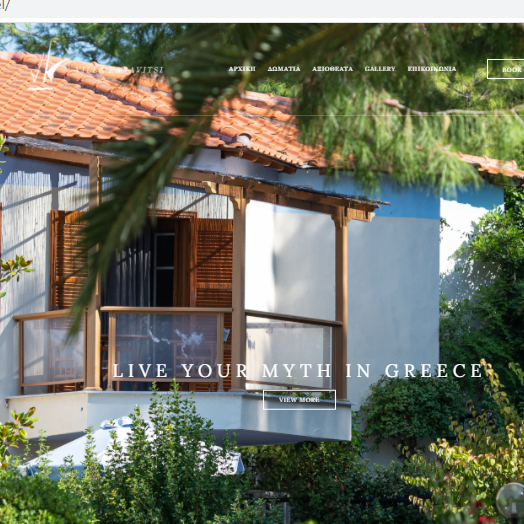 netdevelop εργο karavitsi