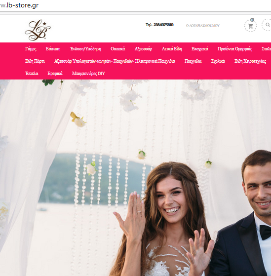 netdevelop εργο lbstore